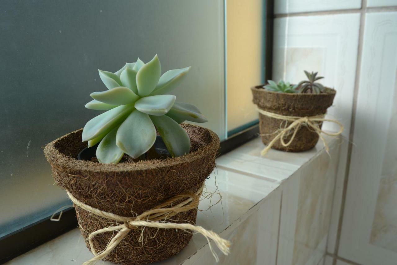 Apartamento com Terraço