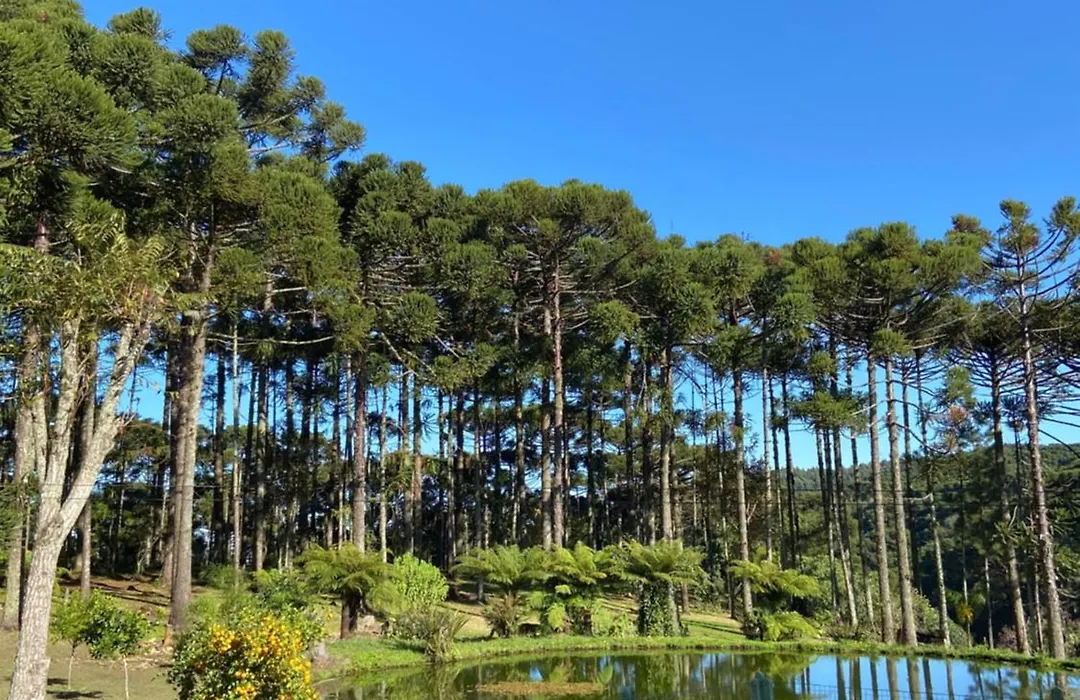 Recanto das Araucárias - Carazal, Gramado.-1