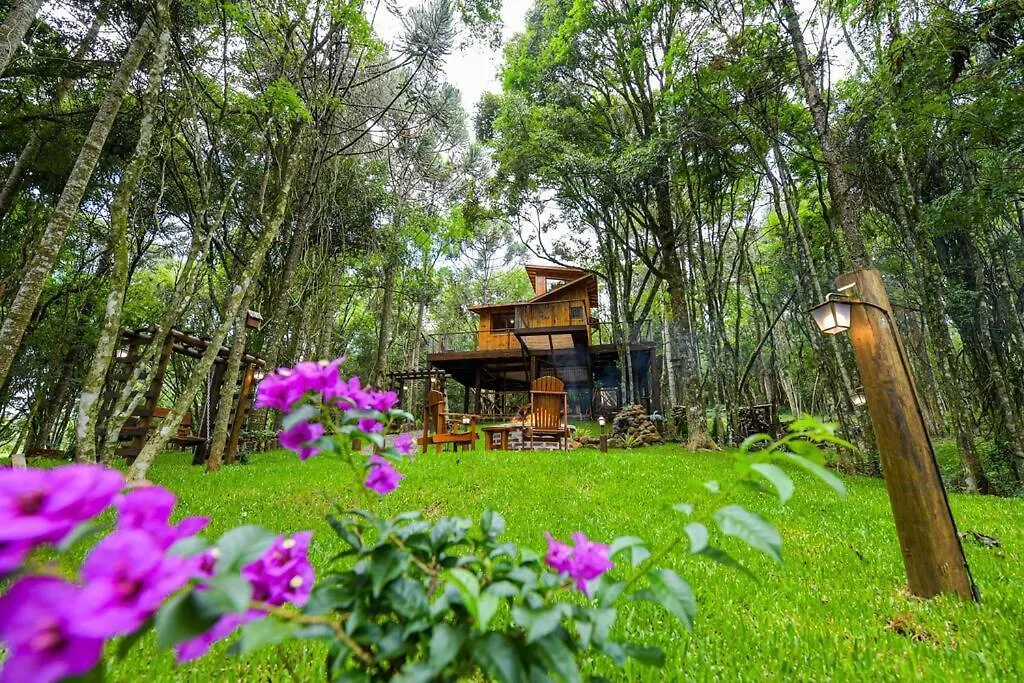 Casa na Árvore em Gramado-1