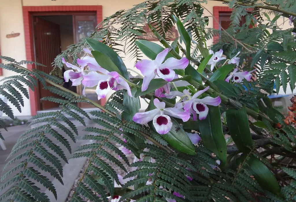 Pousada Floratta Nossa Casa-1