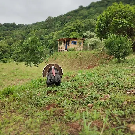 Bangalo Dos Aracas - Sitio Vo Haack-3