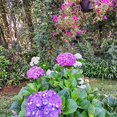 Recanto dos Jasmins Gramado-3