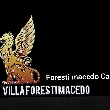 foresti macedo casa-2