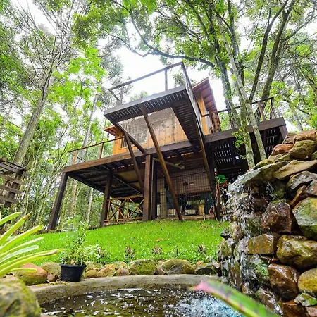 Casa na Árvore em Gramado-3
