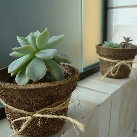 Refúgio na Serra, um espaço para ser desfrutado!-3