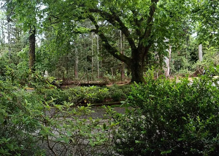 O Fada Da Floresta E Seu Refugio P/ Ate 4 Pessoas