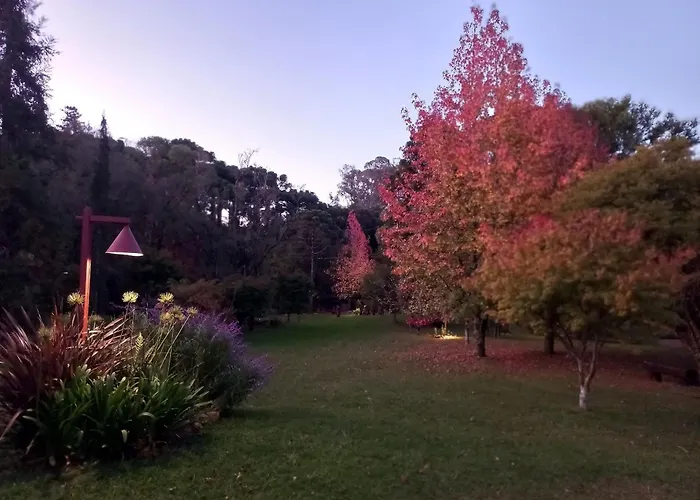 Cogumelos Montanhês Gramado