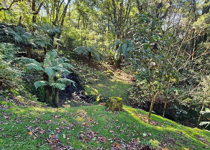 Cantinho Das Oliveiras. Gramado