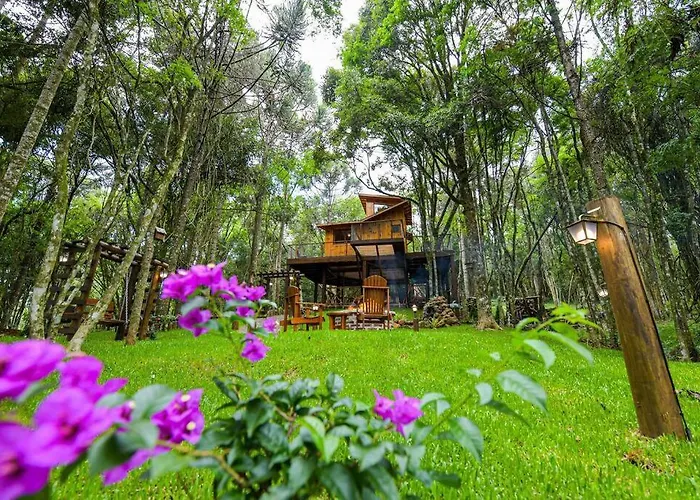 Casa na Árvore em Gramado
